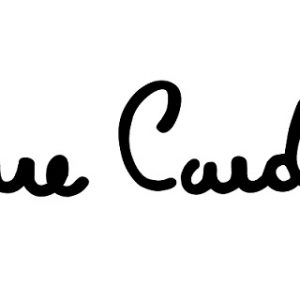 pierre-cardin-logo